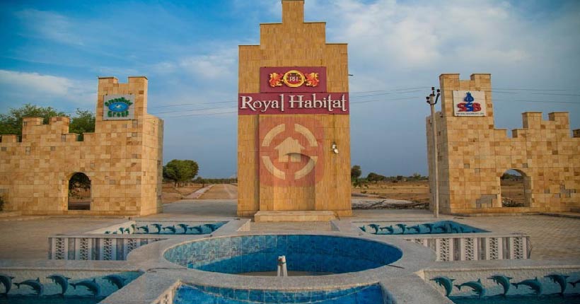 Sital Grass Field Royal Habitat